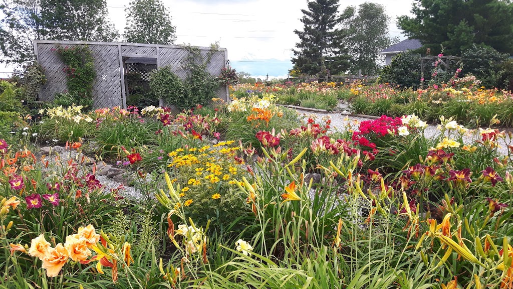 Rural Roots Gardens | 2369 Kawartha Lakes County Rd 36, Dunsford, ON K0M 1L0, Canada | Phone: (705) 928-7668