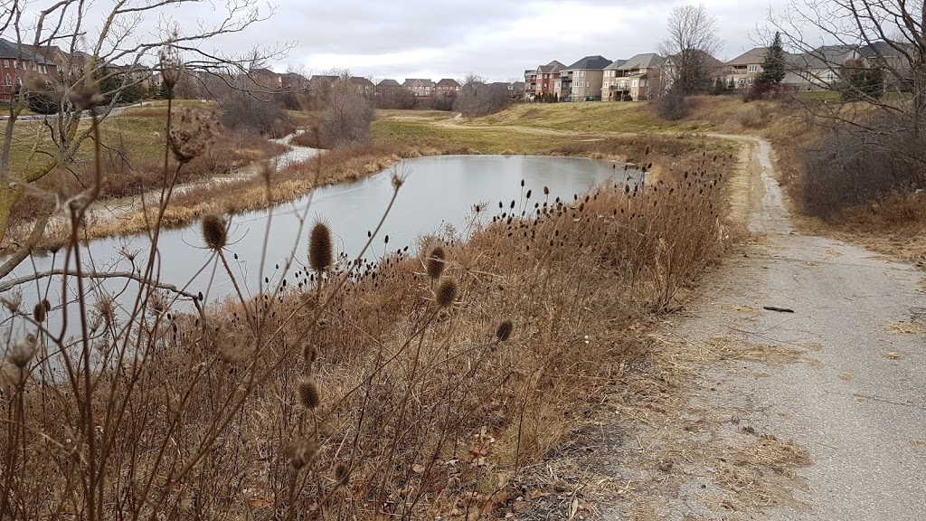 Riverstone Golf and Country Club | Clubhouse 150 Don Minaker Dr, Golf Proshop, 195 Don Minaker Dr, Brampton, ON L6P 2V1, Canada | Phone: (905) 794-8483