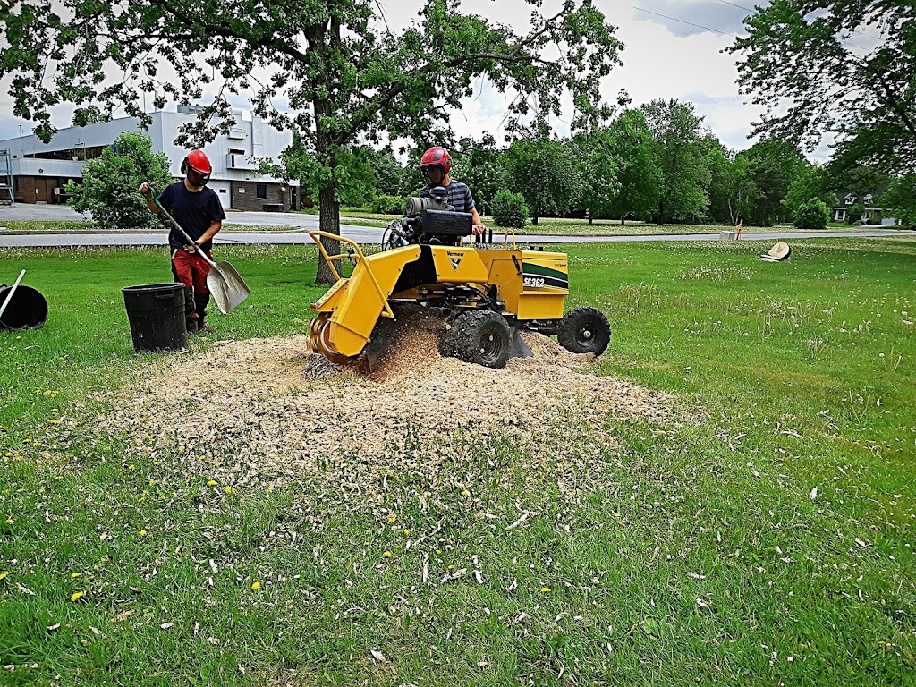 Samuel Girouard Arboriculteur-élagueur | 16325 Av. Roy, Saint-Hyacinthe, QC J2T 4G6, Canada | Phone: (450) 501-8205