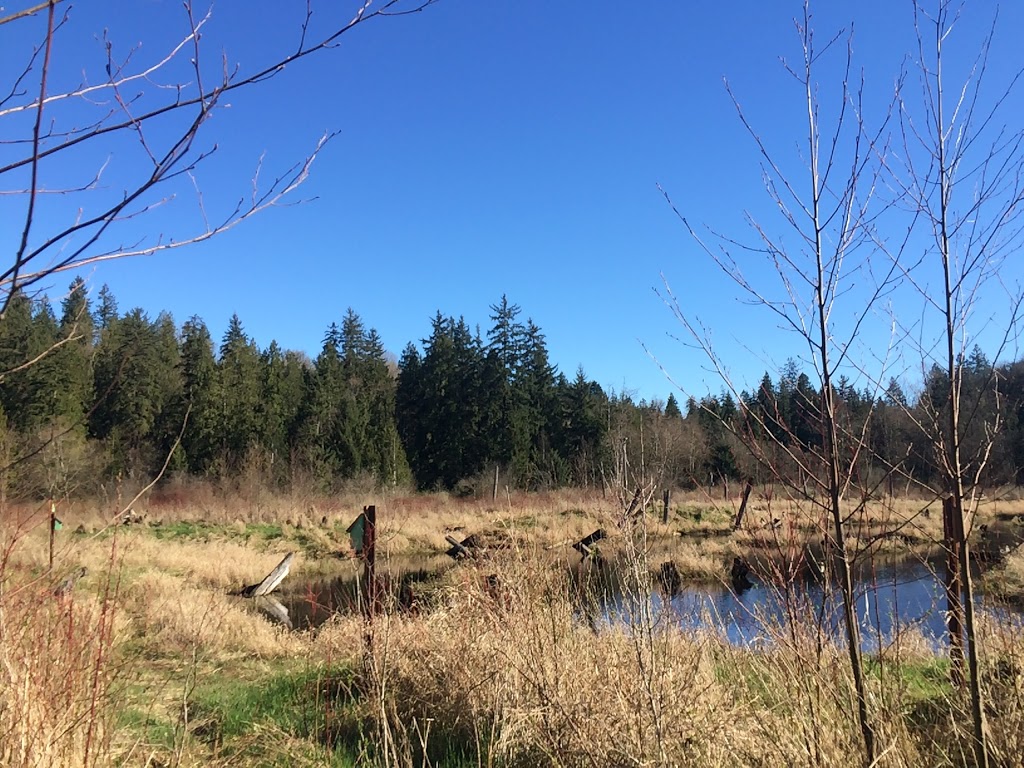 Silverdale Creek Wetlands | 31650 Silverdale Ave, Mission, BC V4S 1J8, Canada