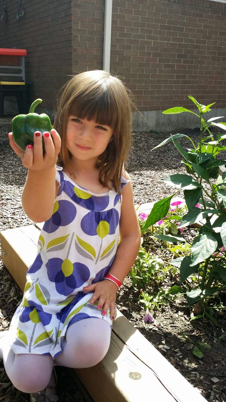 Morningside Montessori School | 450 King St E, Cambridge, ON N3H 4M9, Canada | Phone: (226) 201-1442