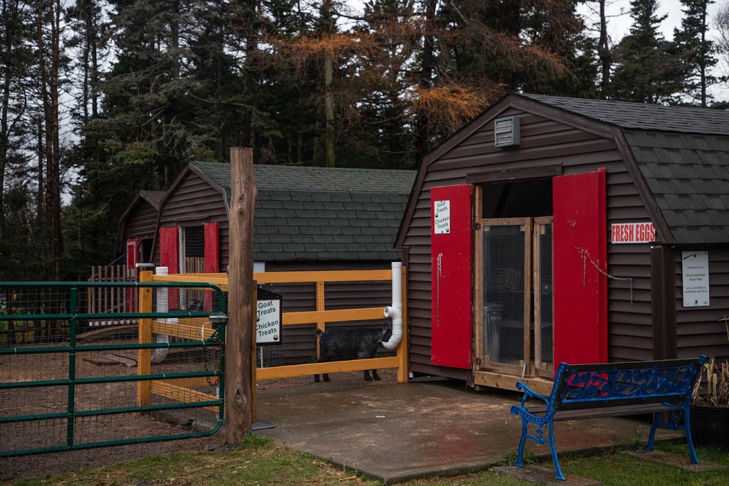 South Dildo Park | Trinity Rd South 80.55015818769154, 47 52763963628915, -53, South Dildo, NL A0B 1R0, Canada | Phone: (709) 746-4341