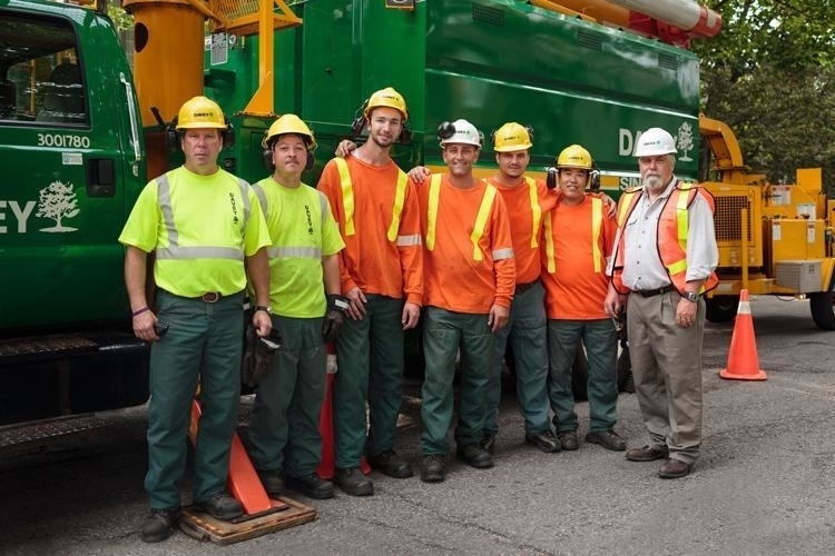 The Davey Tree Expert Company Of Canada | 4063 Hampshire Mills Line, Severn Bridge, ON L3V 6H3, Canada | Phone: (705) 689-8389