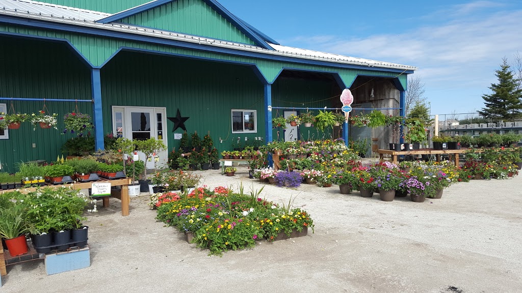 The Market | 300 Dufferin County Rd 124, Shelburne, ON L9V 3M7, Canada | Phone: (519) 925-5353