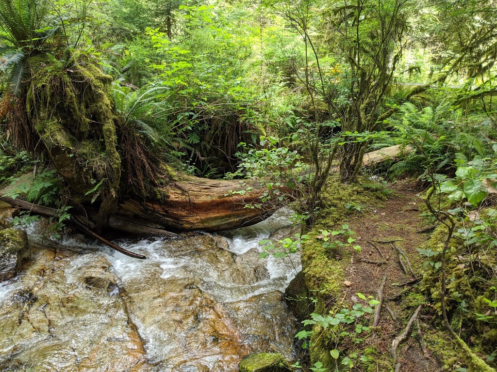 Mermaid Cove, Saltery Bay Provincial Park | 11471 BC-101, Powell River, BC V8A 0N1, Canada | Phone: (604) 286-9992