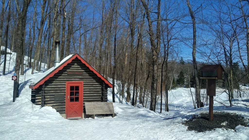 Shilly Shally Shelter | Prom. de la Gatineau, Chelsea, QC J9B 1H9, Canada | Phone: (819) 827-2020