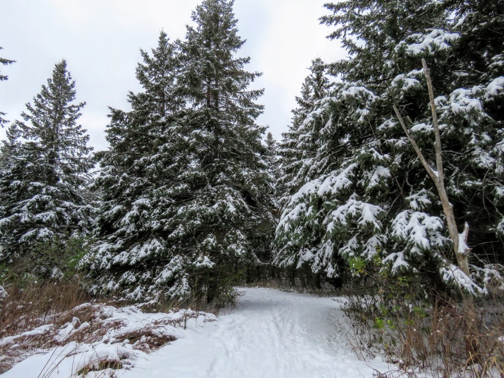 NCC Greenbelt P3 | Corkstown Rd, Ottawa, ON K2K 2Y1, Canada