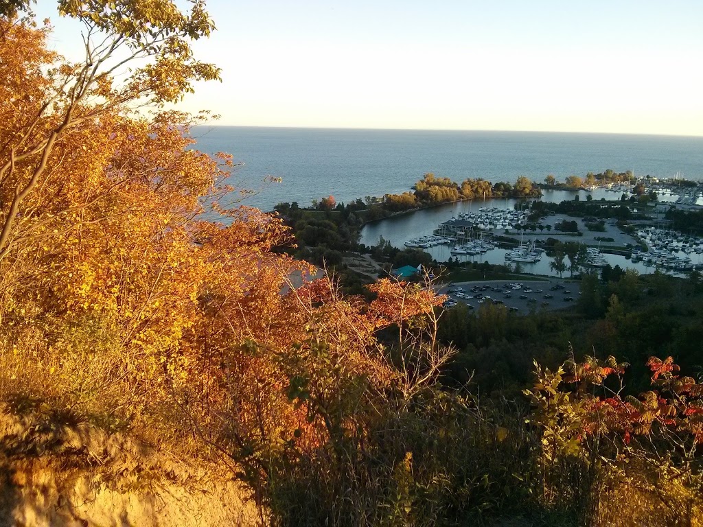 Sunnypoint - Neilson Park | 55 Sunnypoint Crescent, Scarborough, ON M1M 1B9, Canada | Phone: (416) 392-2489