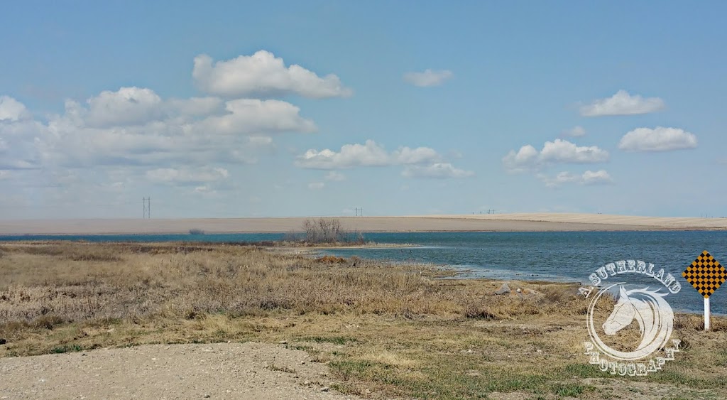 Wildlife Tomorrow - Wildlife Habitat | Unnamed Road, Colonsay, SK S0K 0Z0, Canada