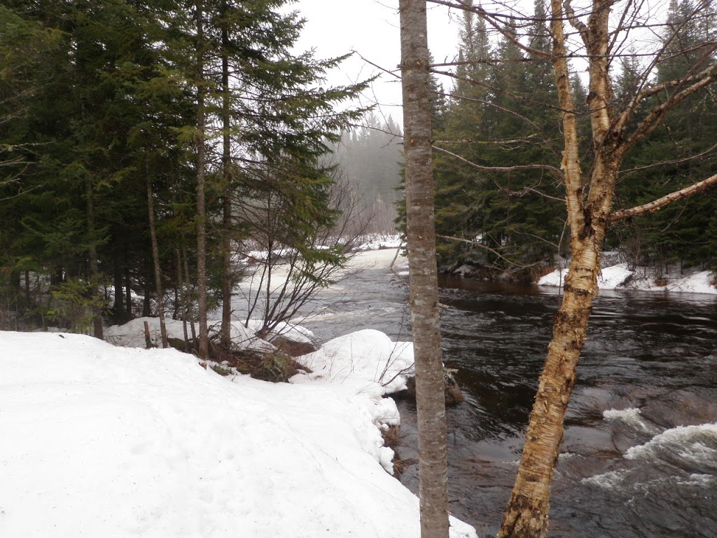 Refuge de la Forêt Boréale | 138 Chemin du Nordet, Lac-Supérieur, QC J0T 1P0, Canada | Phone: (819) 200-0530