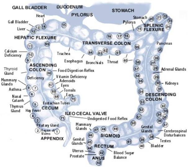 Colon Clinic & Healing Centre | 1117 Clarkson Rd N, Mississauga, ON L5J 2W1, Canada | Phone: (905) 855-2242
