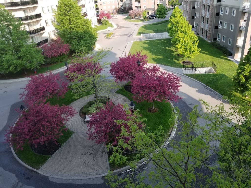 Dayspring | 5 Dayspring Cir, Brampton, ON L6P 1C1, Canada | Phone: (905) 794-0567