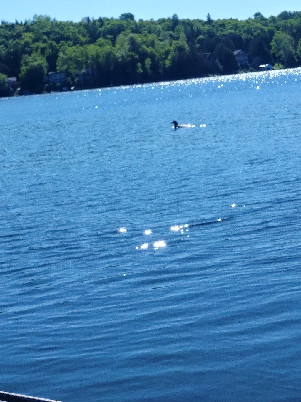 Camping Lac Marie-Louise Inc | 71 Chemin Daigneault S, La Minerve, QC J0T 1S0, Canada | Phone: (819) 274-2514