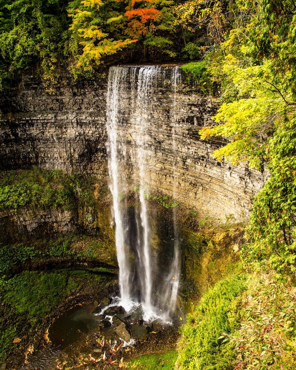 Nathan Masters Photography | East Garafraxa, ON L0N 1G0, Canada | Phone: (226) 203-3840