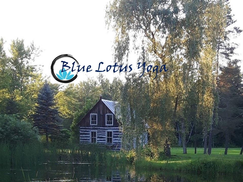 Blue Lotus Yoga Studio Inc. | 4365 Champlain Rd, Bourget, ON K0A 1E0, Canada | Phone: (613) 446-4609