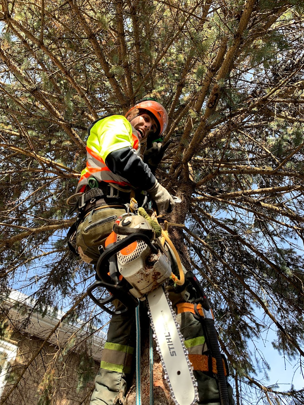 Arborist Tree Service | 1709 Beachburg Rd, Beachburg, ON K0J 1C0, Canada | Phone: (613) 639-4804