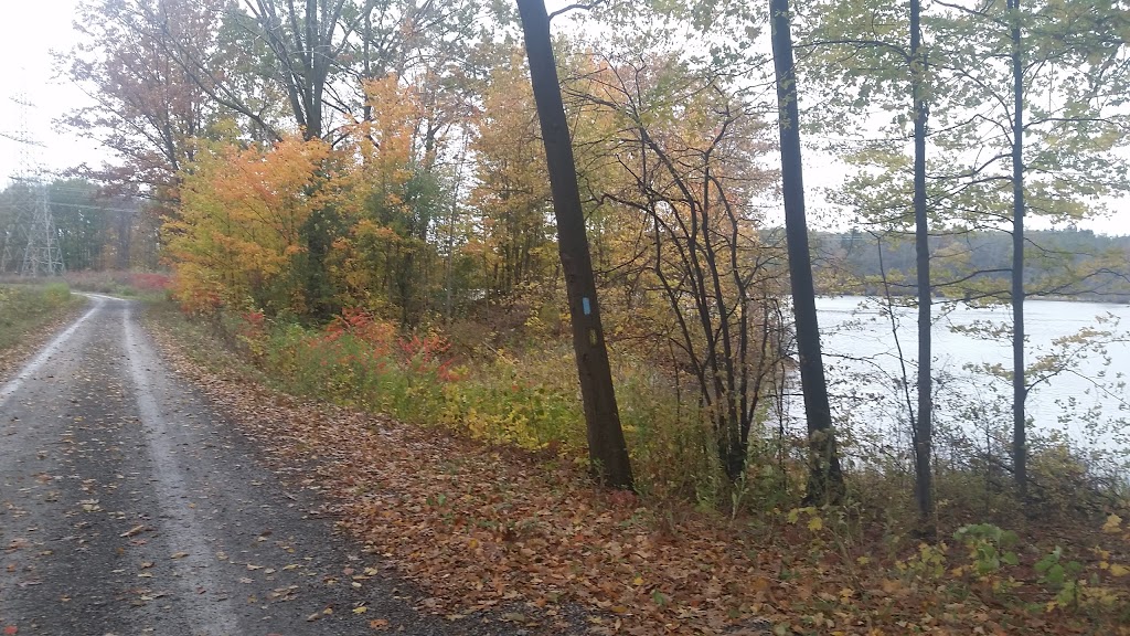 Bruce Trail | Unnamed Road, Fonthill, ON L0S 1E6, Canada