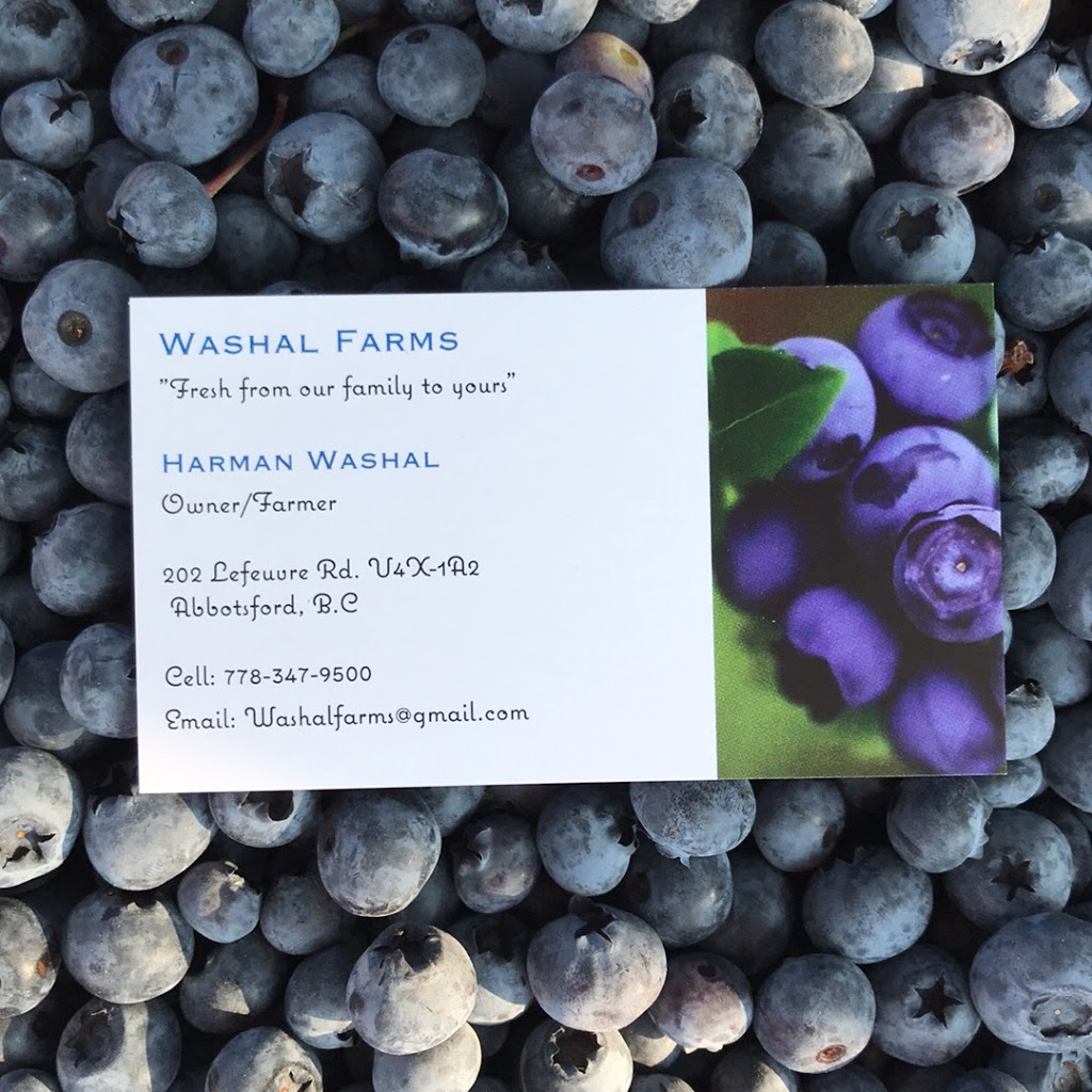 Washal Farms | 202 Lefeuvre Rd, Abbotsford, BC V4X 1A2, Canada | Phone: (778) 347-9500