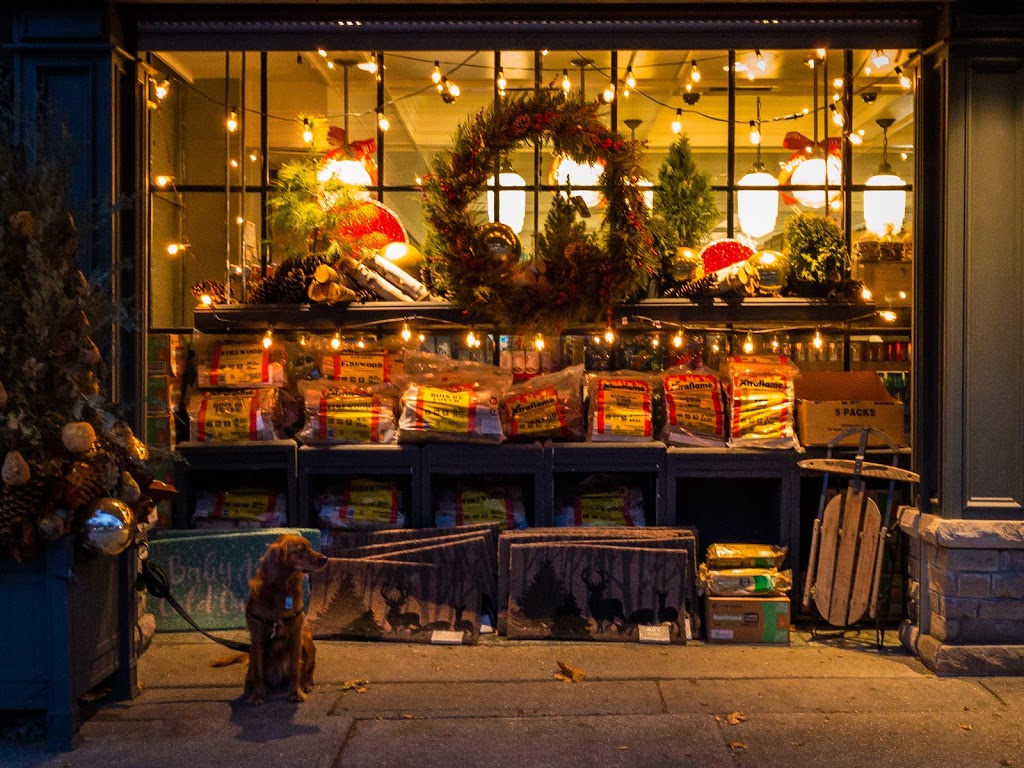Robert Gordon Taylor Photography | 5 Du Maurier Blvd #221, Toronto, ON M4N 1V1, Canada | Phone: (416) 388-7407