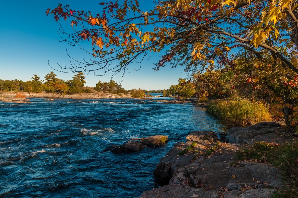 Lovesick Lake Restaurant | 4738 ON-28, Lakefield, ON K0L 2H0, Canada | Phone: (877) 654-3587