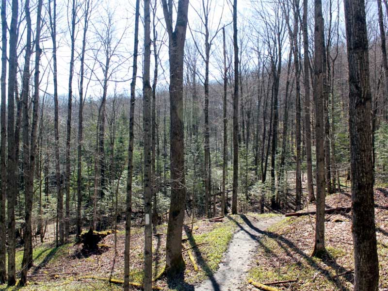 Trek Nirvana | 104 Silurian Dr, Guelph, ON N1E 7G2, Canada | Phone: (416) 830-8512