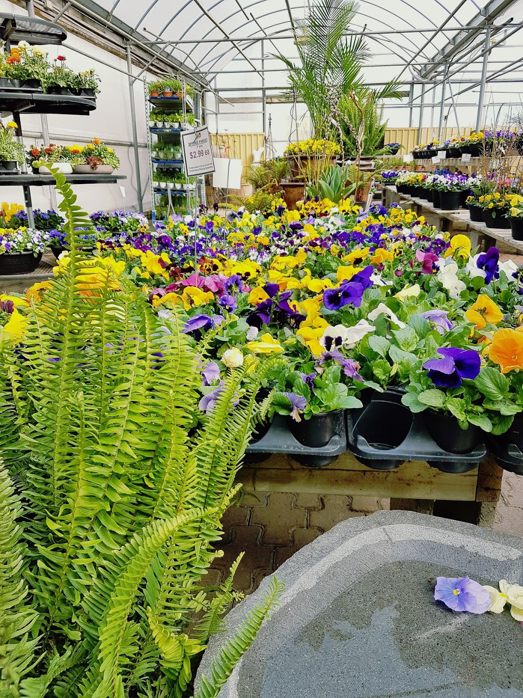 The Living Outdoors Ltd | 486 Main St, Cambridge, ON N1R 5S7, Canada | Phone: (519) 622-1861