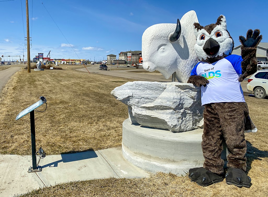 Town of Olds | 4512 46 St, Olds, AB T4H 1R5, Canada | Phone: (403) 556-6981