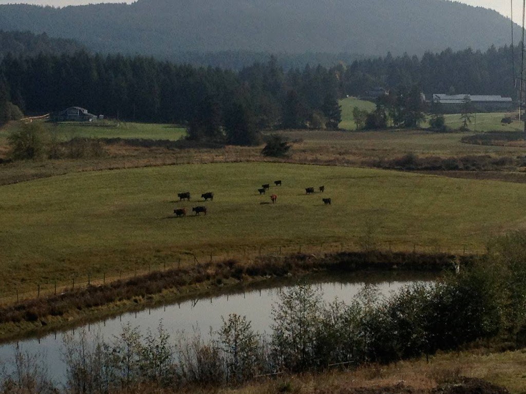 Waterloo Farms | 8282 Chemainus Rd, Chemainus, BC V0R 1K0, Canada | Phone: (250) 732-7699