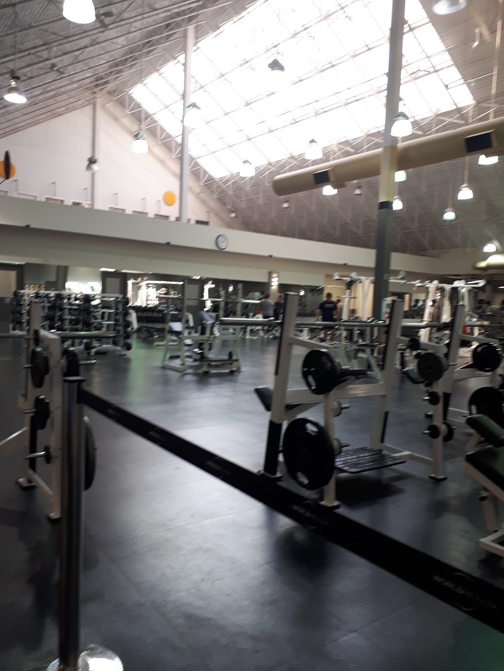 World Health Fitness Club - Gateway | gym | 3414 Gateway Blvd NW, Edmonton, AB T6J 6Z2, Canada | 7804616333 OR +1 780-461-6333