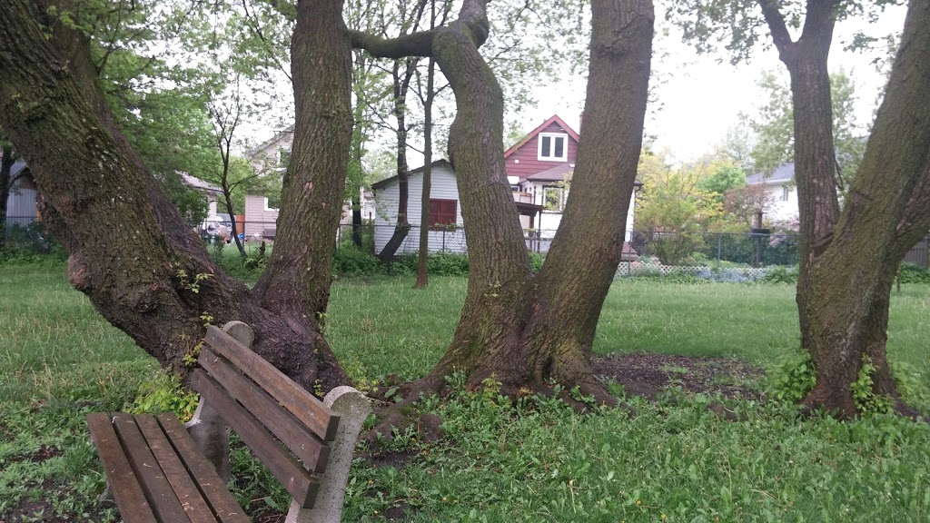 Mico Valeriote Park | 235 Elizabeth St, Guelph, ON N1E 2X6, Canada