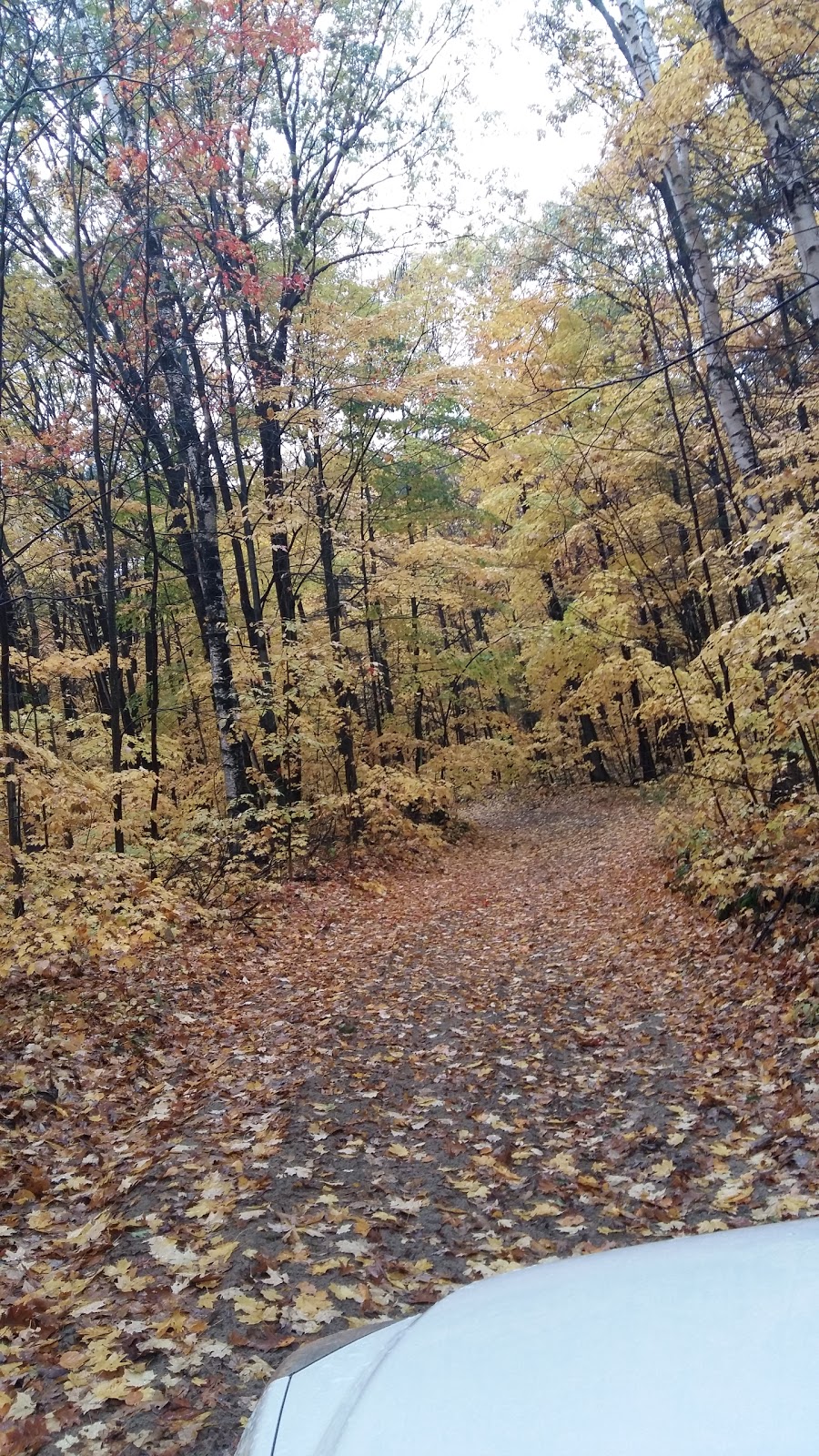 Ganaraska Forest | Clarington, ON L0B, Canada | Phone: (905) 885-8173