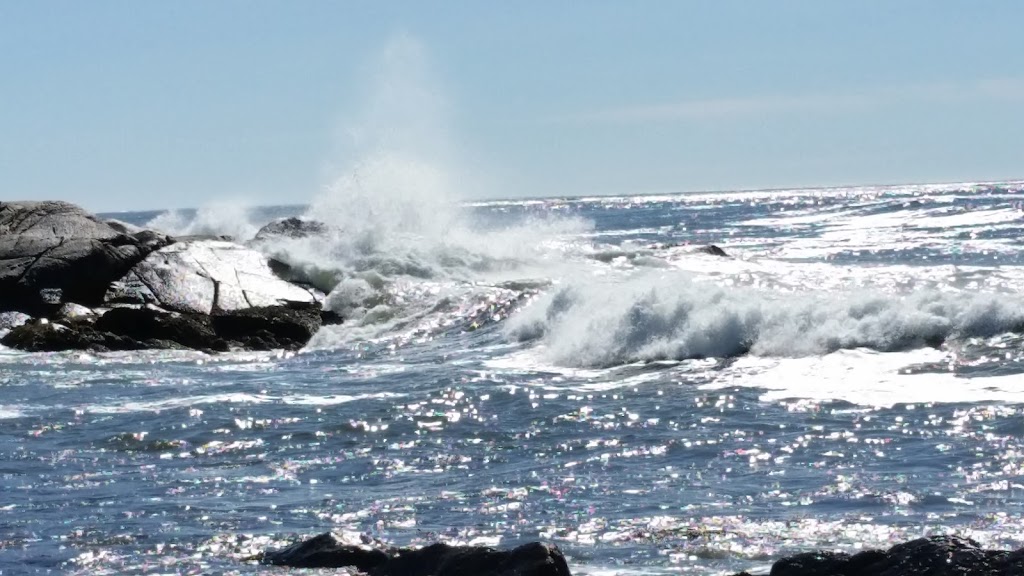 Mighty Atlantic Guest House | 968 Brooklyn Shore Rd, Brooklyn, NS B0J 1H0, Canada | Phone: (902) 350-2215
