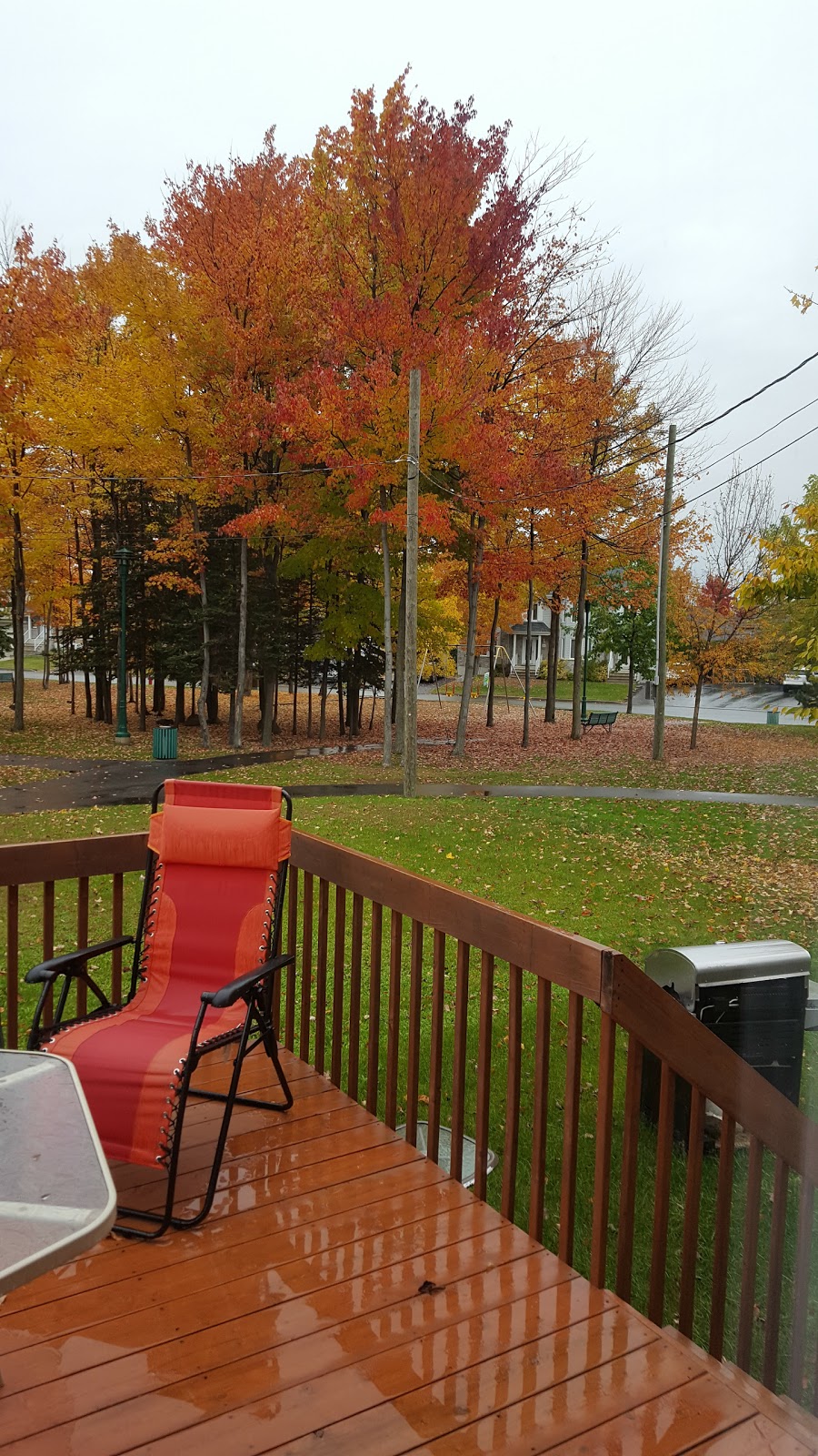 Parc J.-Marcel-Laflamme | Côte Rosemont, Trois-Rivières, QC G8Y 6J6, Canada