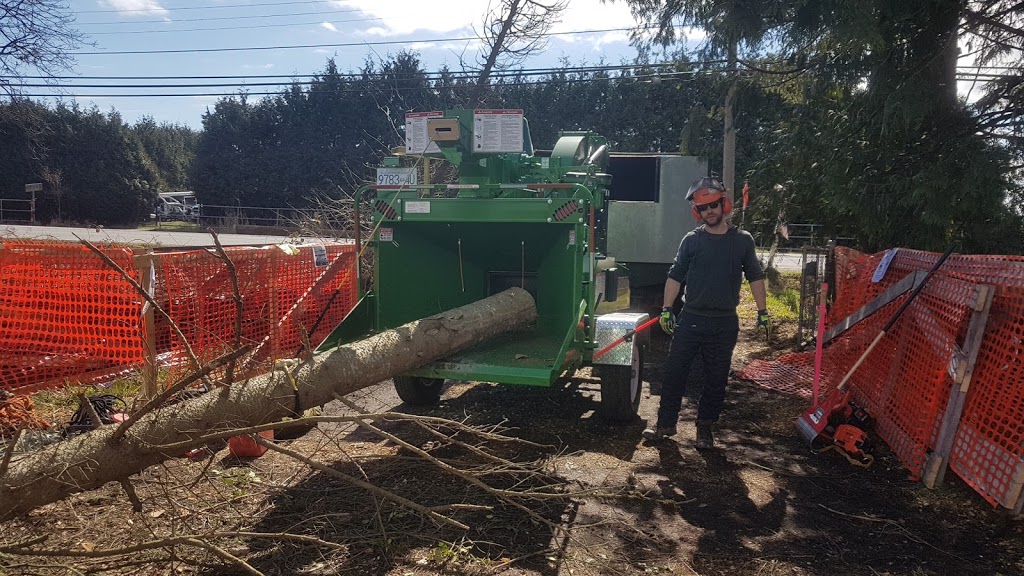 Alpine Tree Care | 3191 Pleasant St, Richmond, BC V7E 2P1, Canada | Phone: (604) 834-7586