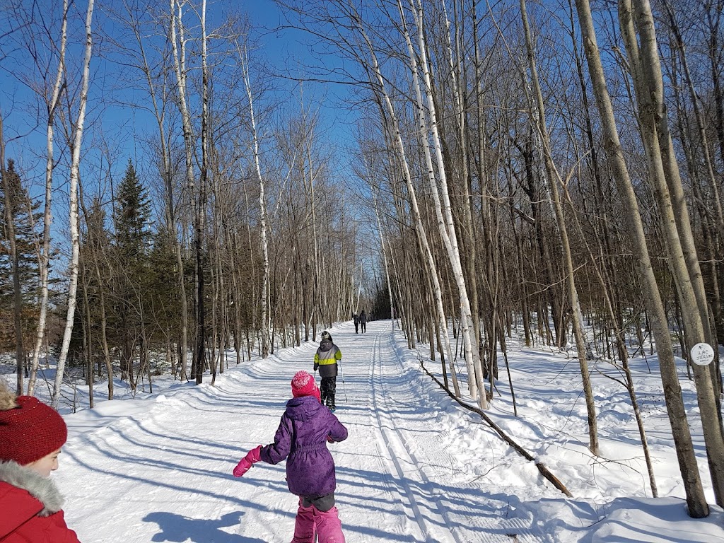 Terrain Soccer et Football Saint-Jérôme | 718 Rue Ouimet, Saint-Jérôme, QC J7Z 6B4, Canada | Phone: (450) 436-1512