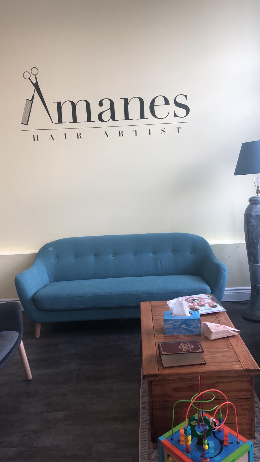 amanes | 172 Argyle St N, Caledonia, ON N3W 2J2, Canada | Phone: (289) 707-1975