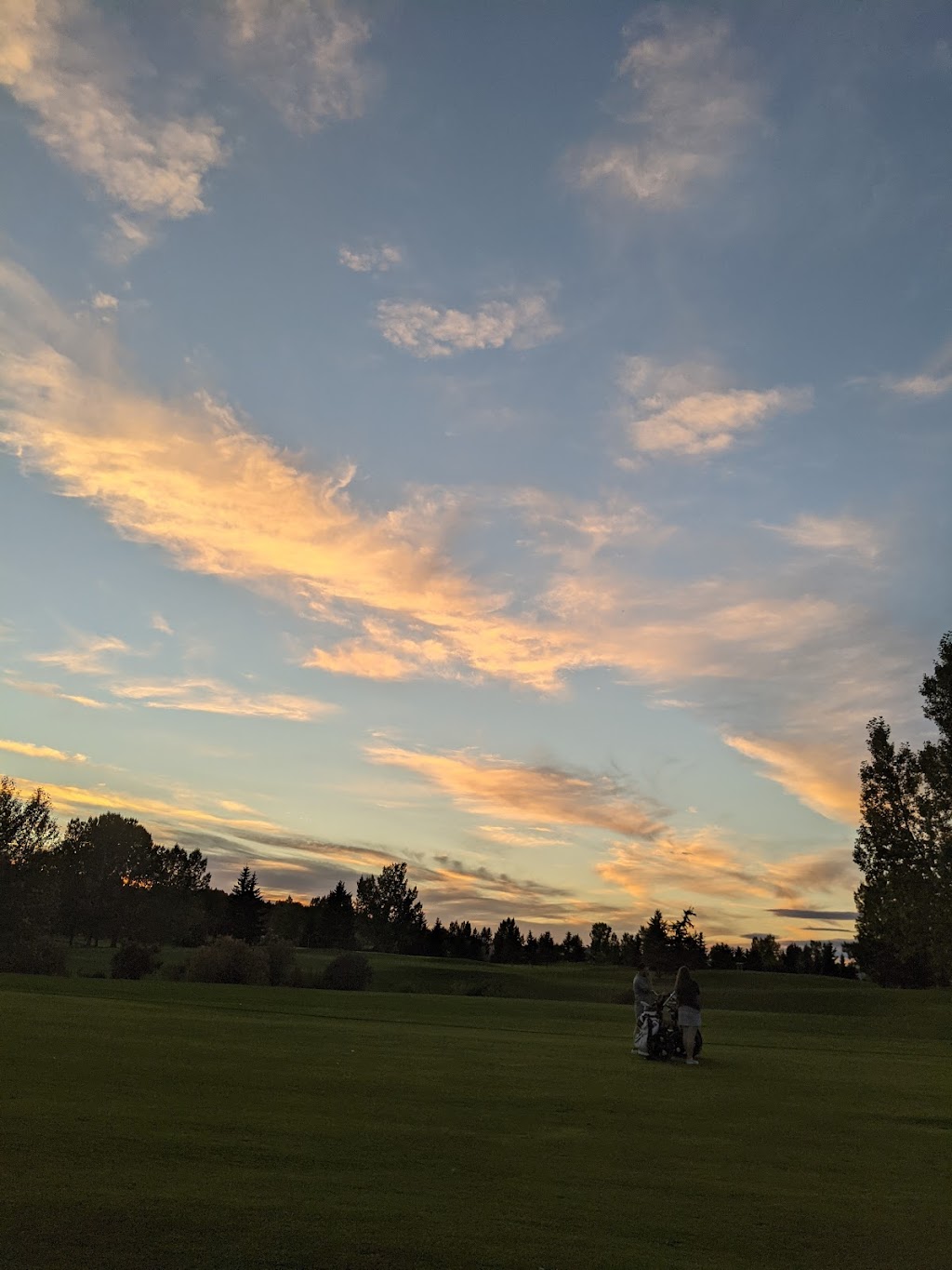 Cochrane Golf Club | 240 Riverview Dr, Cochrane, AB T4C 1K9, Canada | Phone: (403) 932-5103