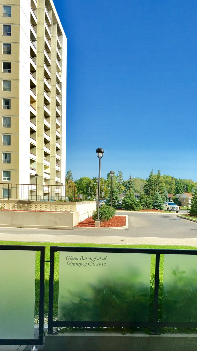 Courts of St James | 2727 Portage Ave, Winnipeg, MB R3J 0R2, Canada | Phone: (204) 888-3747