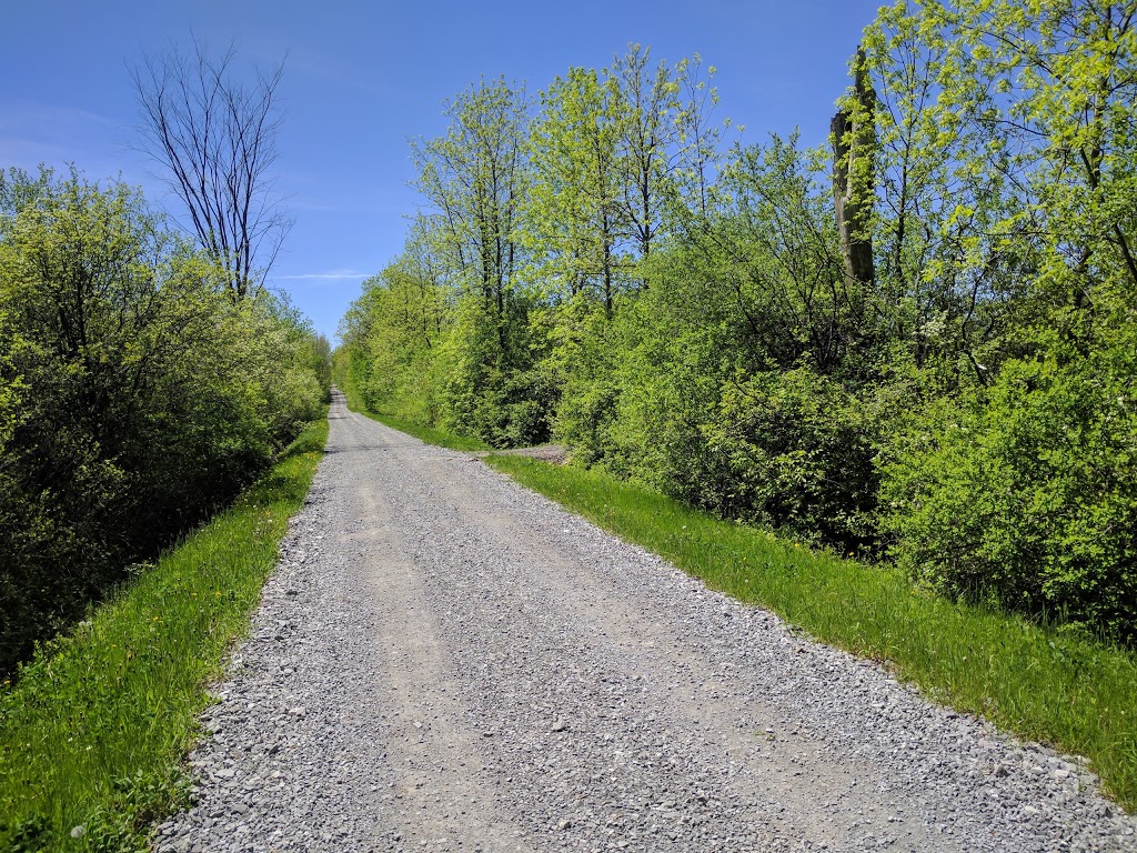 Parc Quinchien | 96 Montée Levac, Vaudreuil-Dorion, QC J7V 8P2, Canada
