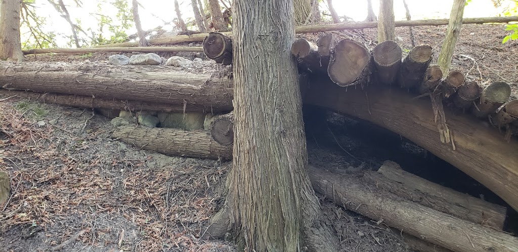 Harold Town Conservation Area Mountain Bike Trails | 2611 Old Norwood Rd, Peterborough, ON K9J 6X8, Canada | Phone: (705) 745-5791