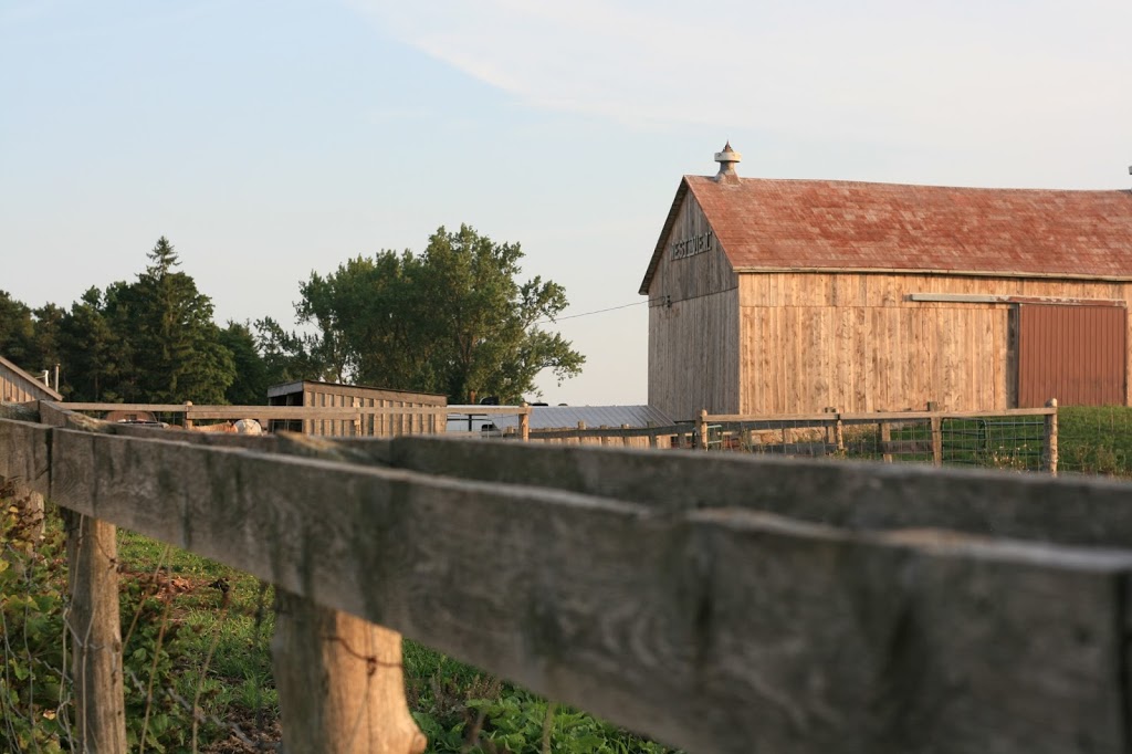 Westview Stables | 313662 ON-6, West Grey, ON N0G, Canada | Phone: (226) 668-0538