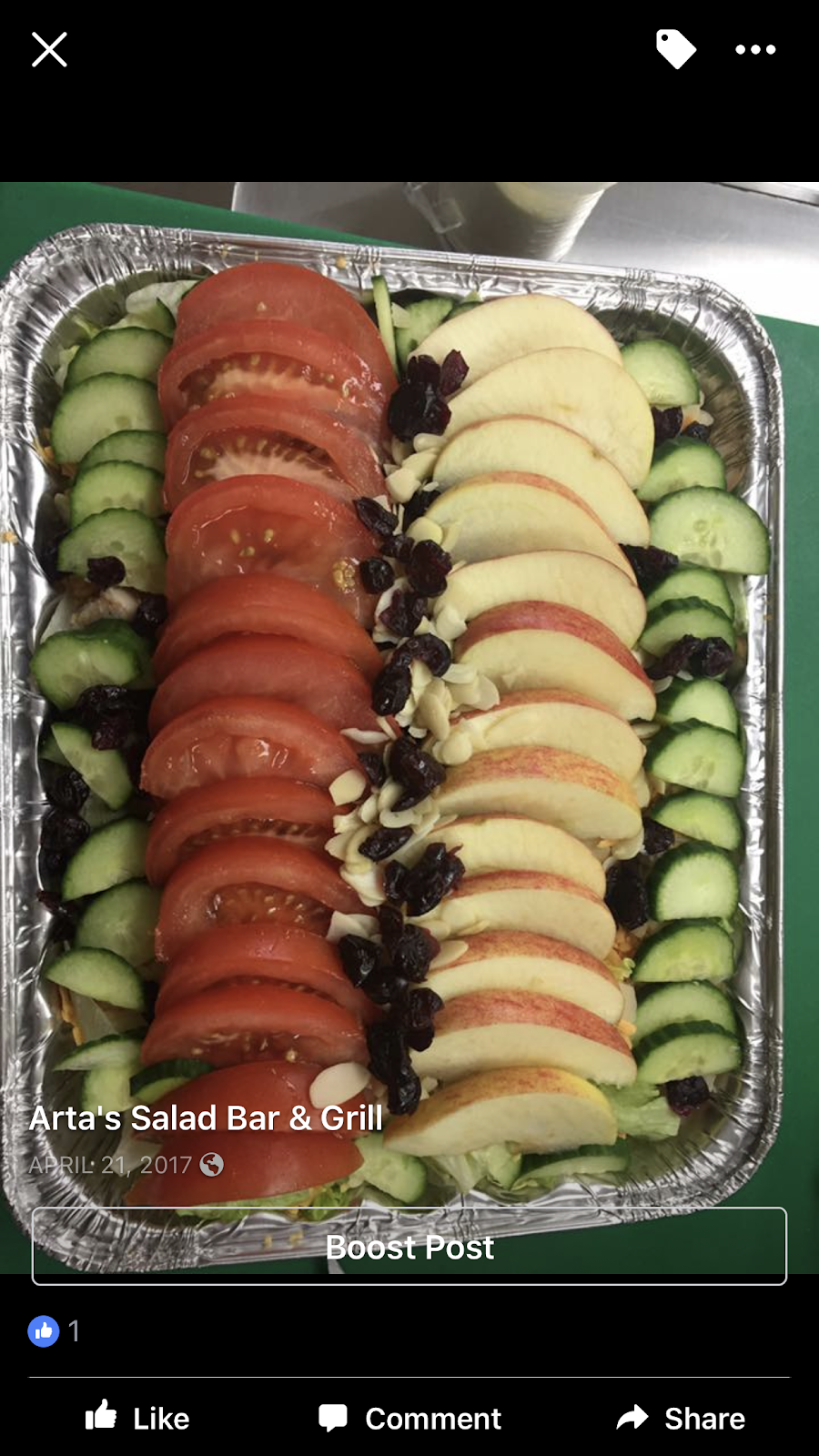 Artas Salad Bar And Grill | 13462 Tecumseh Rd E, Windsor, ON N8N 3N7, Canada | Phone: (519) 979-1105
