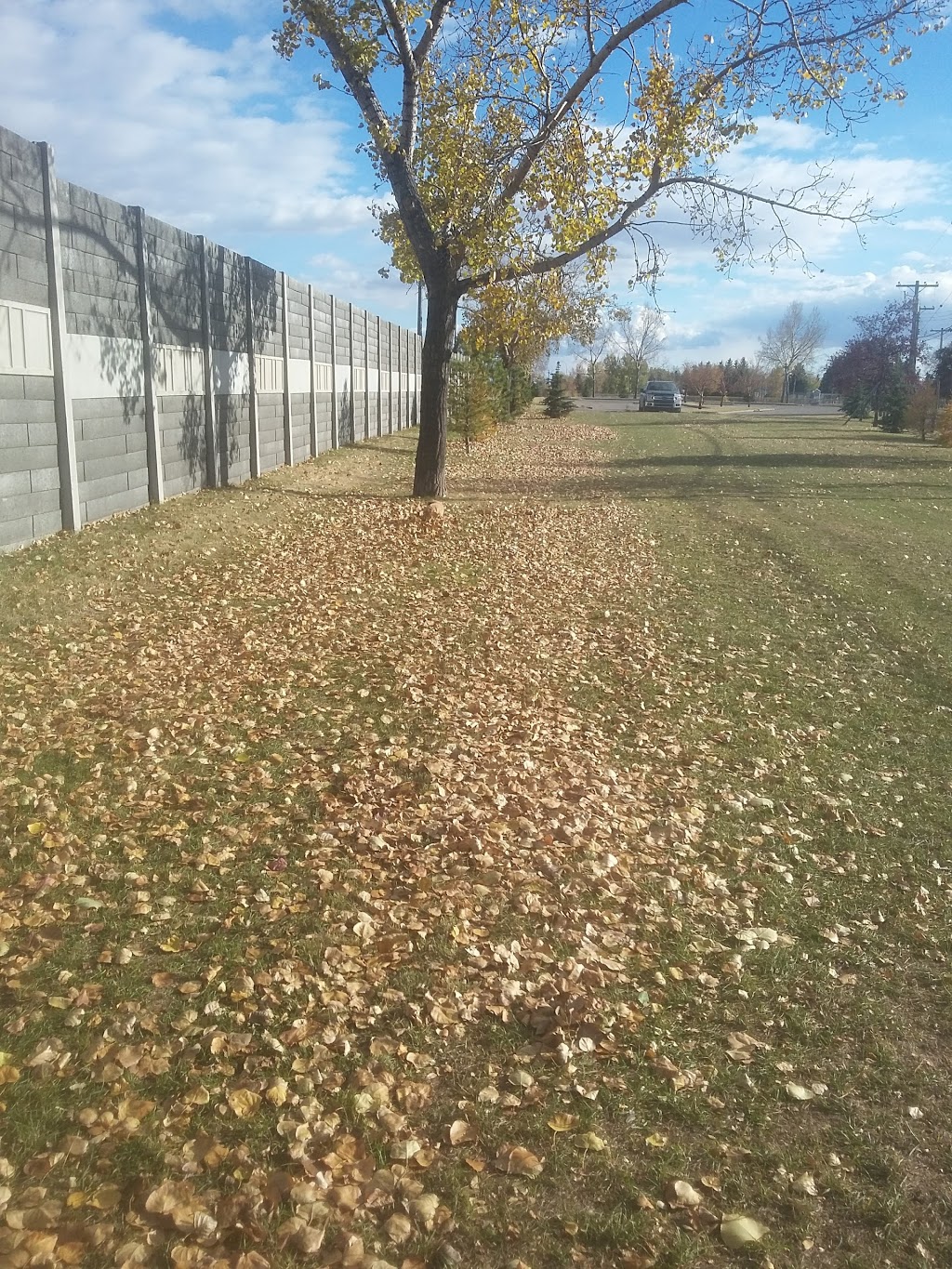 Acadia Off Leash Area | Acadia, Calgary, AB T2J 1A4, Canada