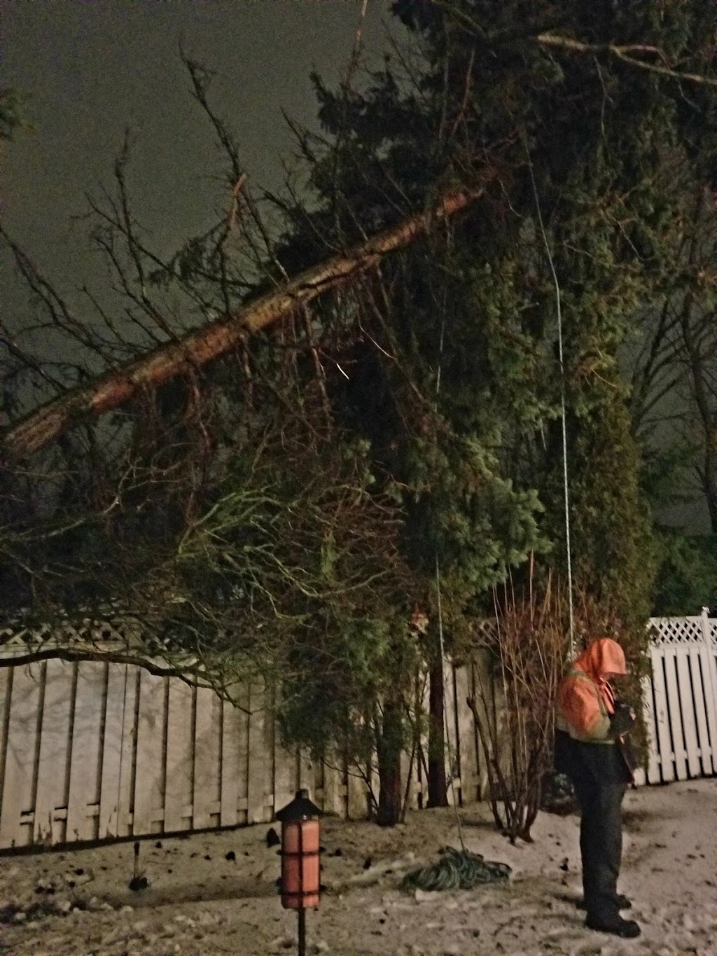 Tobys Tree Service | 81 McVeigh Dr, Barrie, ON L4N 7E4, Canada | Phone: (705) 791-6052