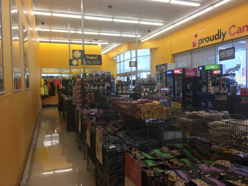 Giant Tiger | 930 Dundas St, Woodstock, ON N4S 8X6, Canada | Phone: (519) 539-8701
