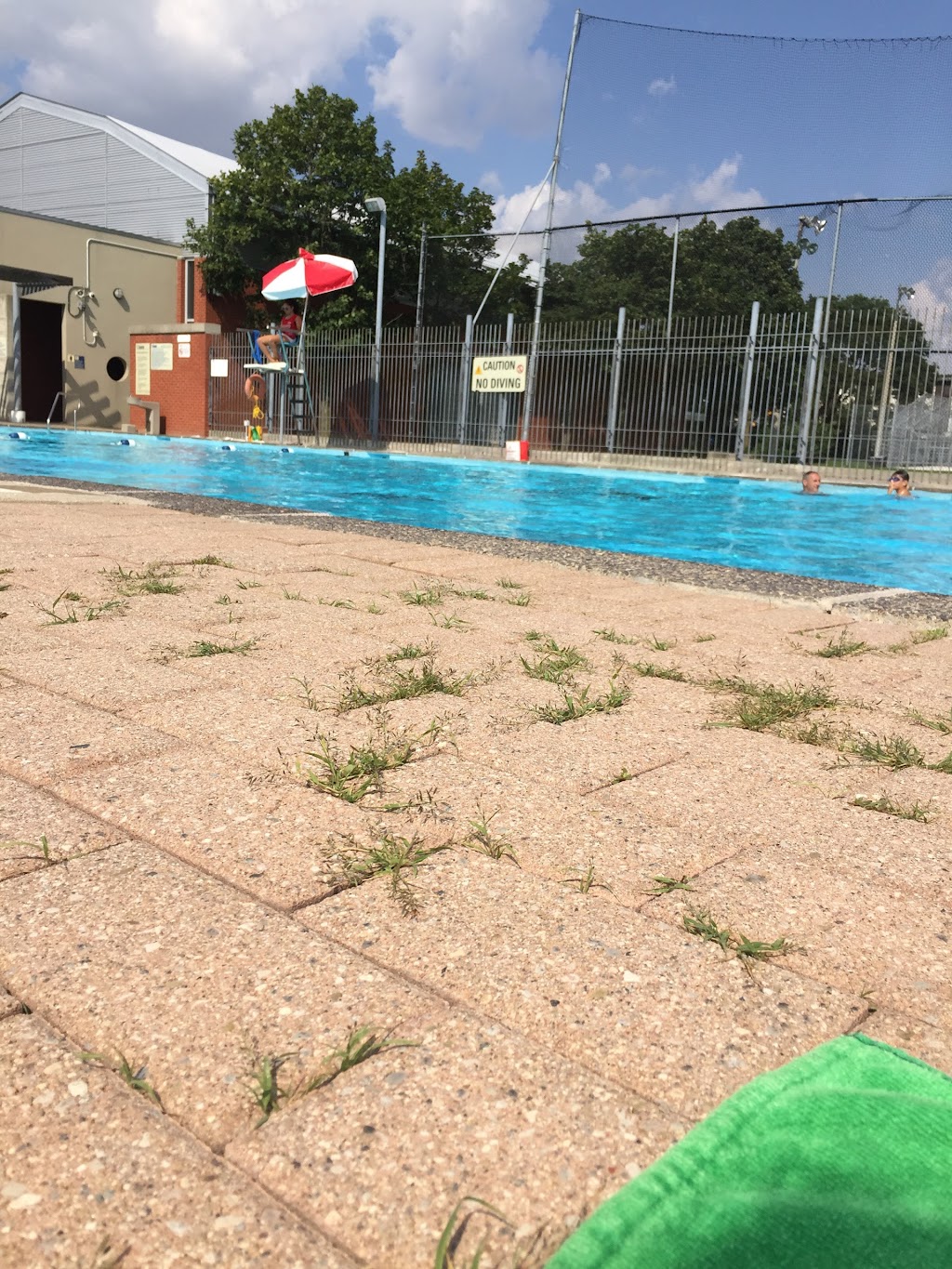 Domenico Di Luca Outdoor Swimming Pool | Stanley Park, 25 Stanley Rd, North York, ON M3N 1C2, Canada | Phone: (416) 395-0130