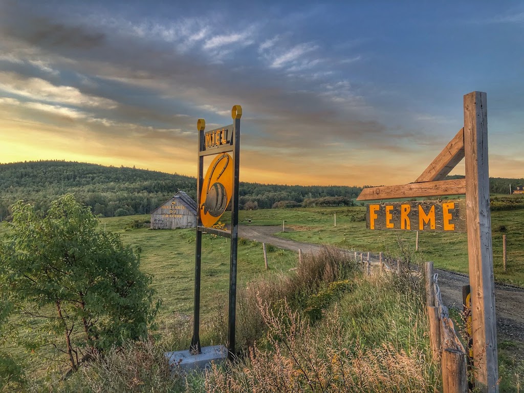 Miellerie du cratère de Charlevoix | 3390 Route du Fleuve, Les Éboulements, QC G0A 2M0, Canada | Phone: (418) 617-0728