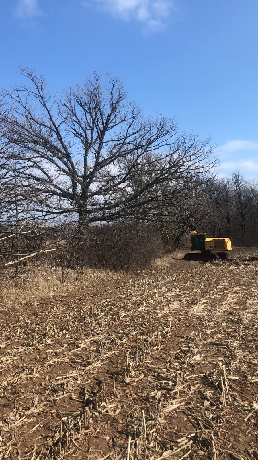 Enviro Earthworks | 227 Tapleytown Rd, Stoney Creek, ON L8J 3K1, Canada | Phone: (905) 518-6642