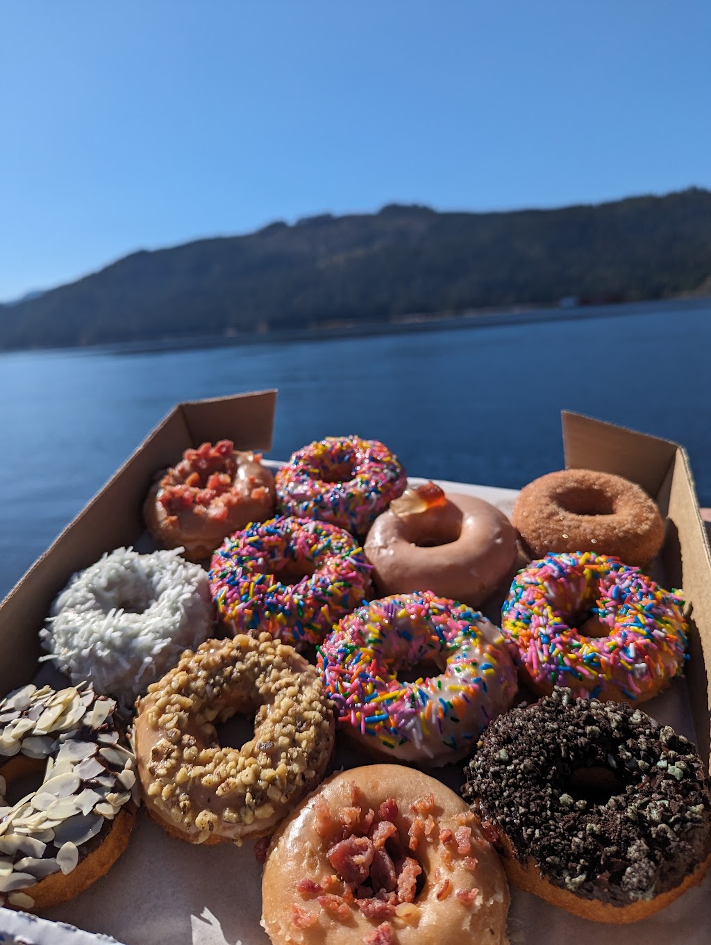 The Donut Shop | 5440 Argyle St, Port Alberni, BC V9Y 1T7, Canada | Phone: (250) 723-2213