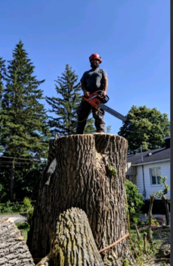 Québec Elagage | 1820 Bd Bastien, Québec, QC G2B 1C5, Canada | Phone: (418) 952-8685